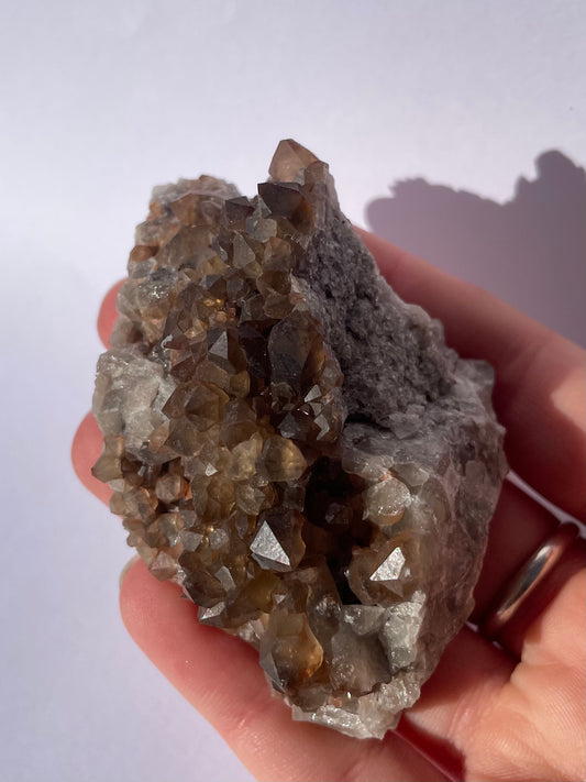 Tasmanian Smoky Quartz w/ Hematite inclusions specimen