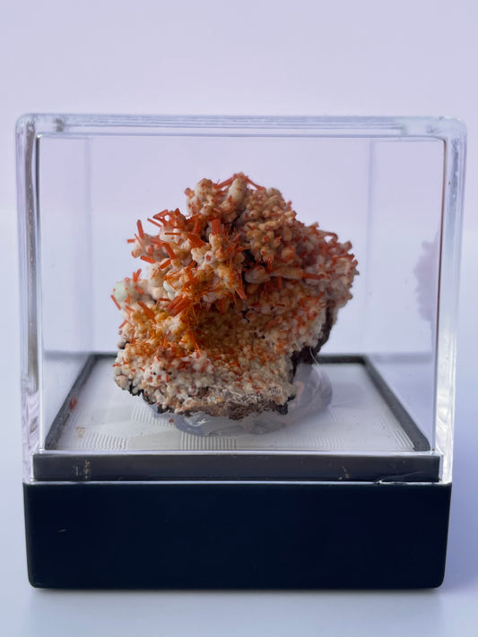 Tasmanian Crocoite & Dundasite specimen