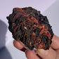 Tasmanian Crocoite