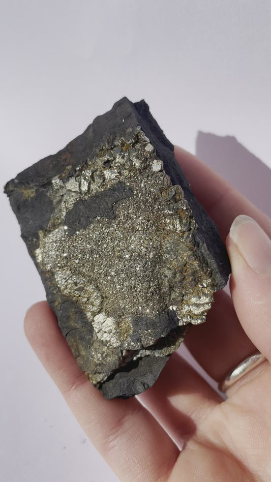 Tasmanian Pyrite specimen