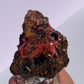 Tasmanian Crocoite