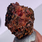 Tasmanian Crocoite