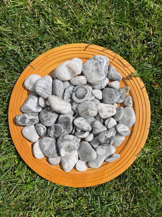 Tasmanian Lace Agate Tumbles