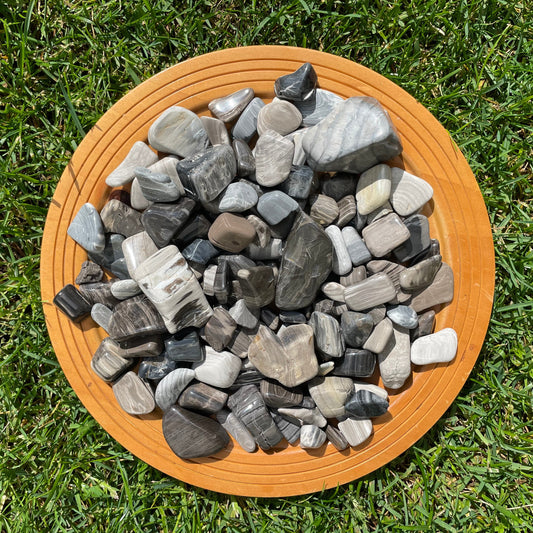 Tasmanian Petrified Wood Tumbles