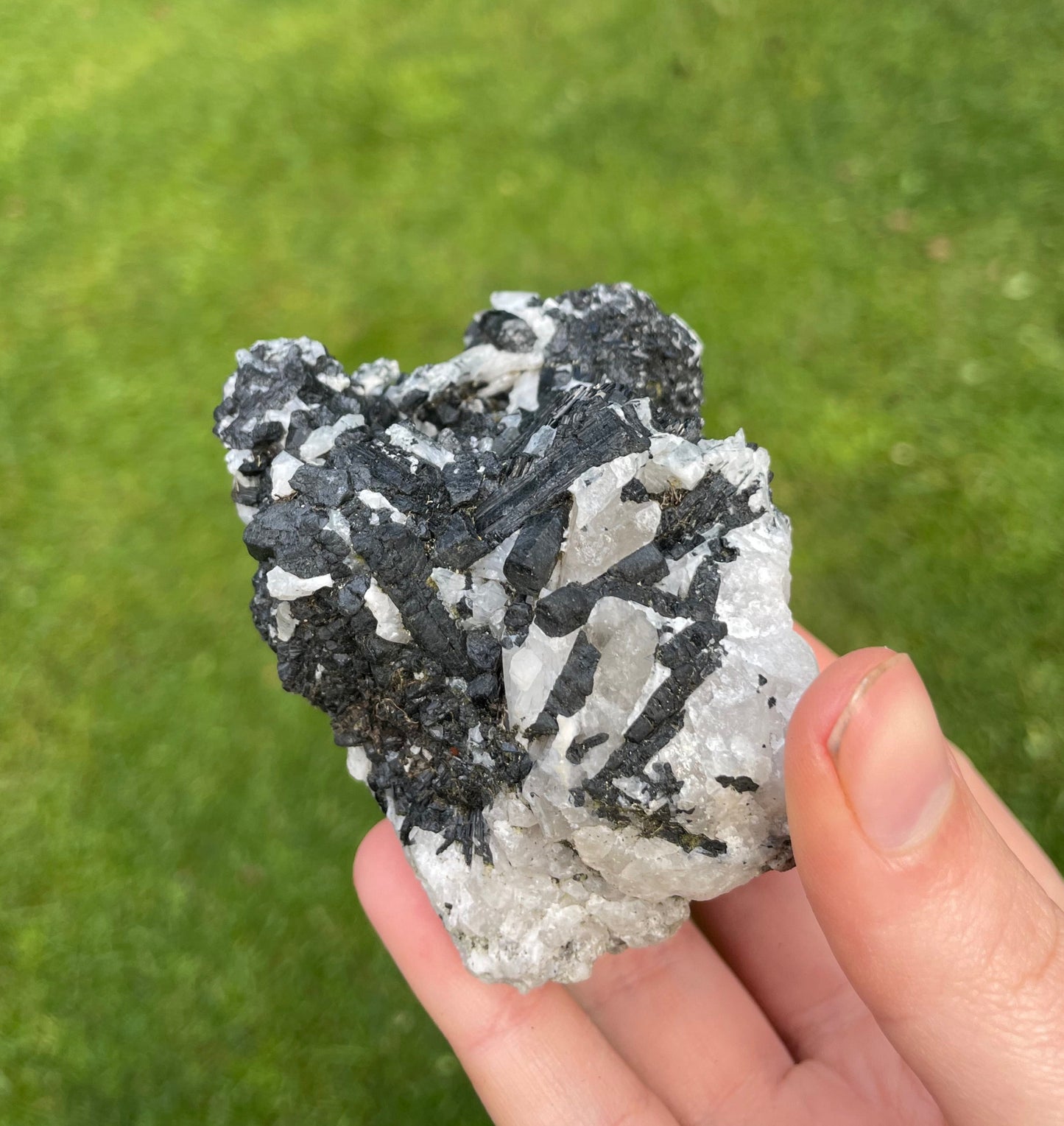 Tasmanian Black Tourmaline & Quartz