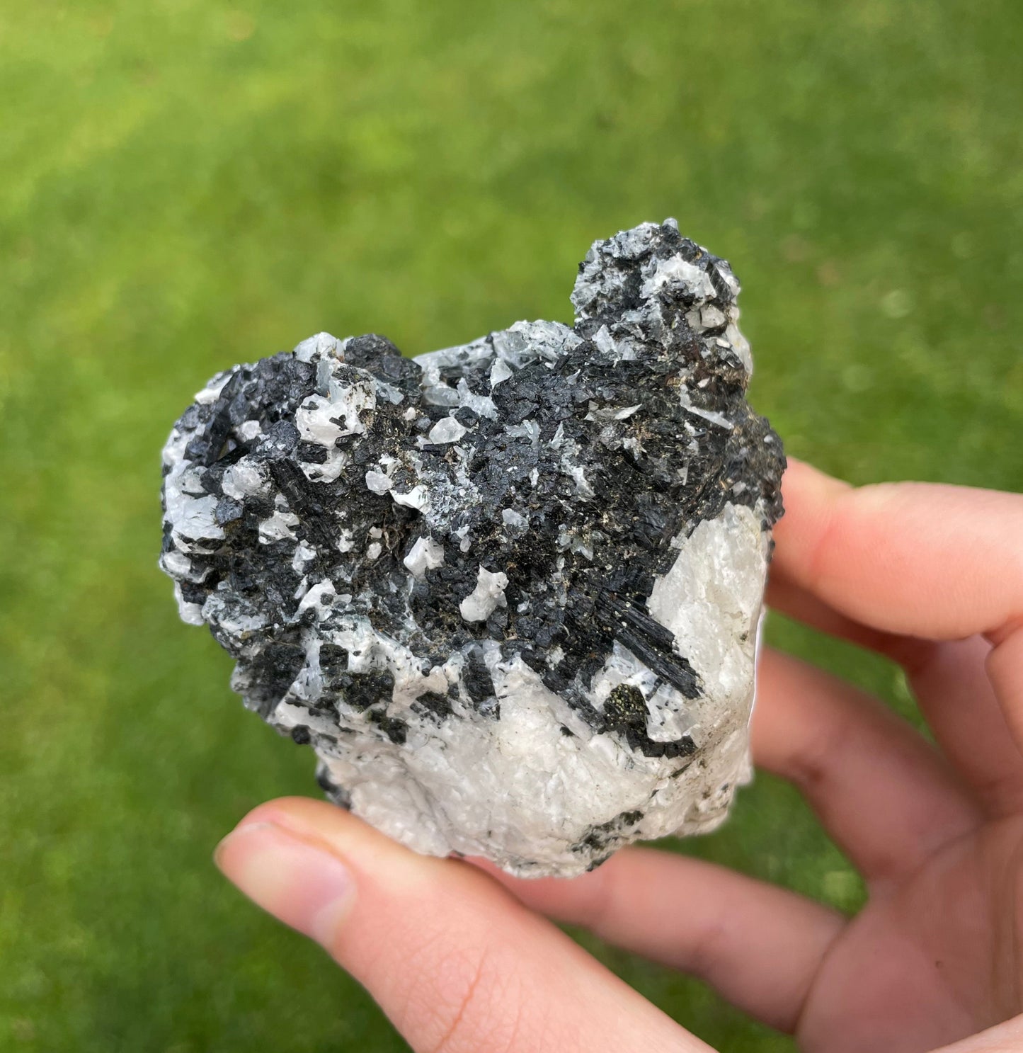 Tasmanian Black Tourmaline & Quartz