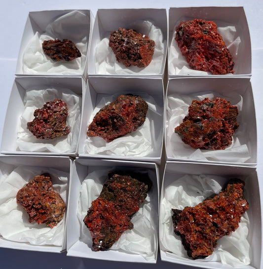 Tasmanian Crocoite specimens