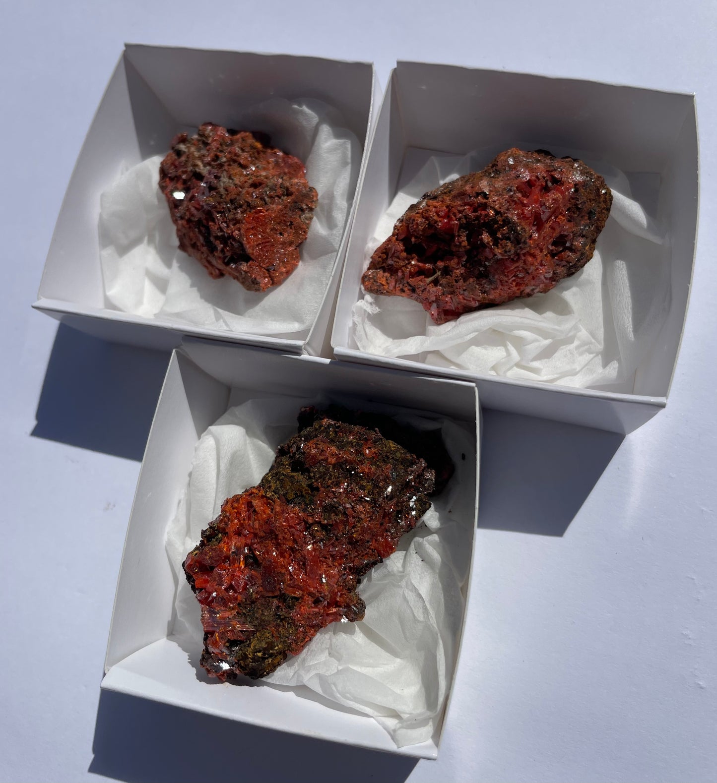 Tasmanian Crocoite specimens