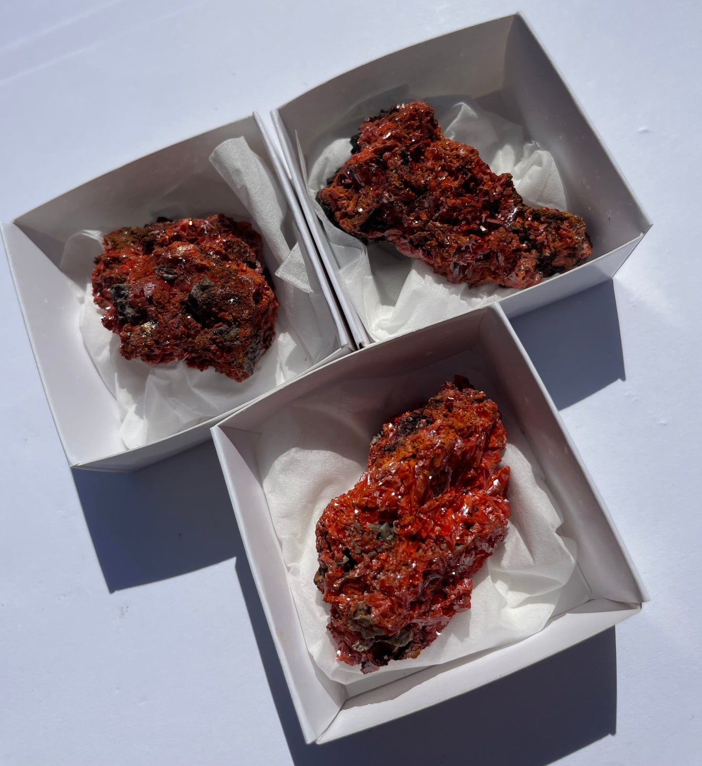 Tasmanian Crocoite specimens